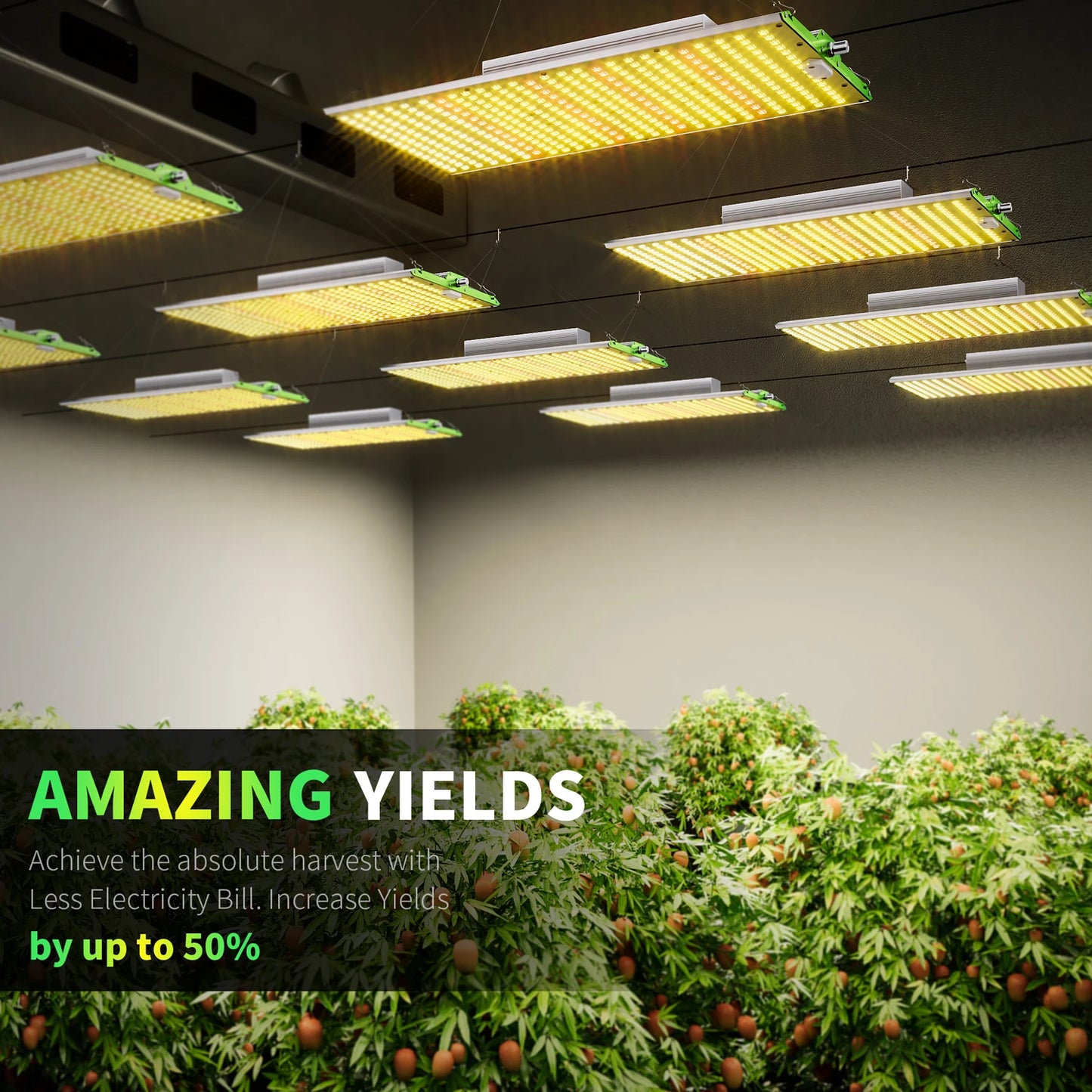 BESTVA Full Spectrum Grow Light
