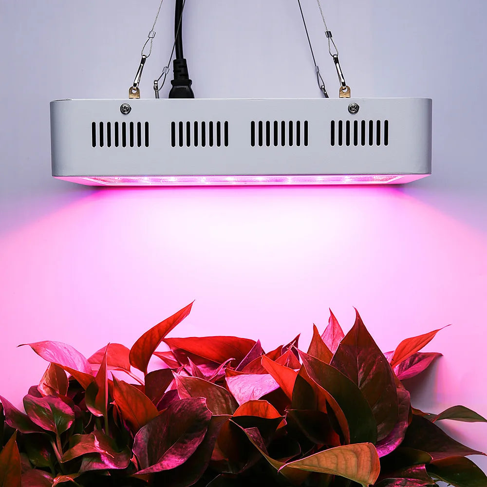 Beylsion Hydro Grow Kit