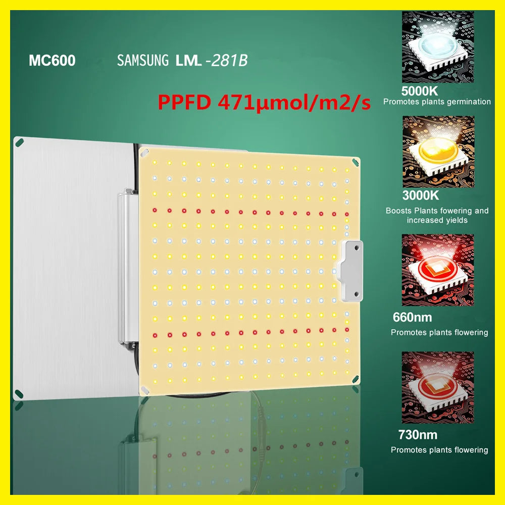 EcoGrow LED Grow Kits