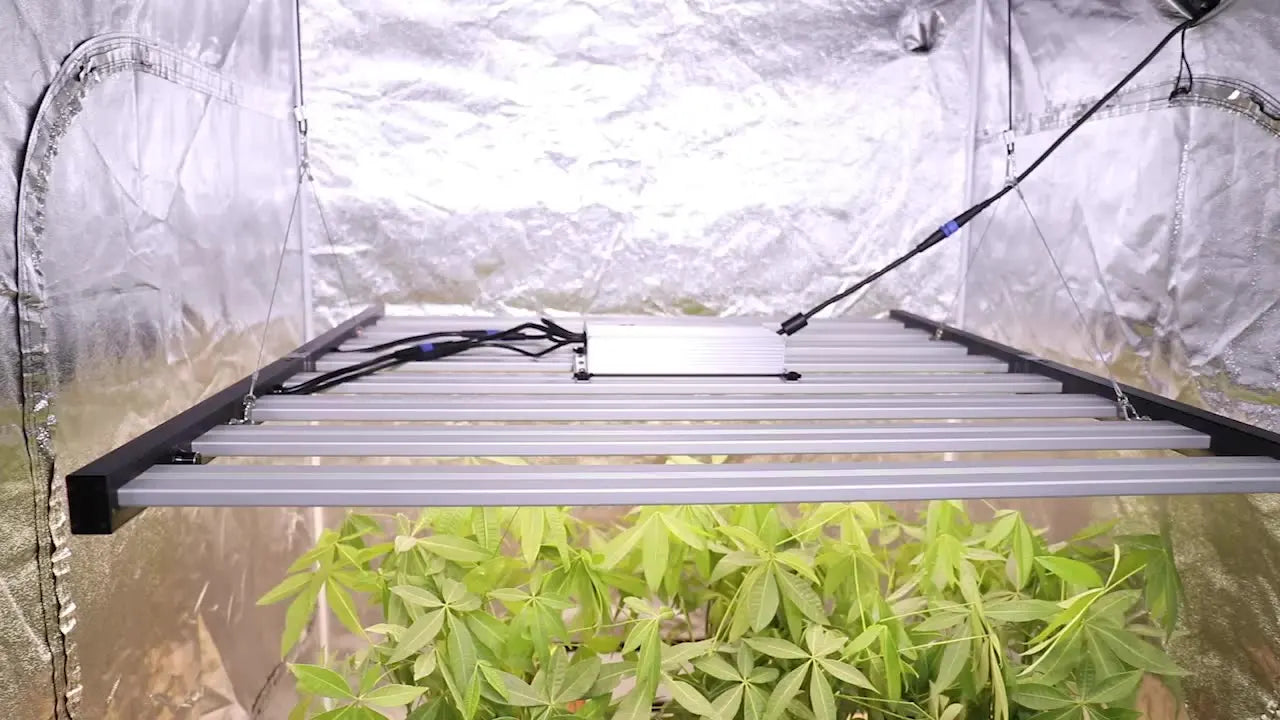 Phlizon Pro LED Grow Light